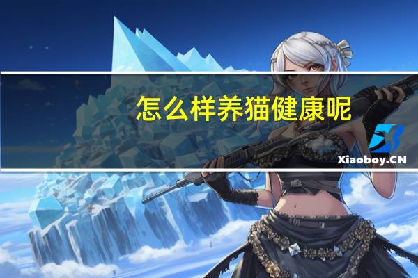 怎么样养猫健康呢