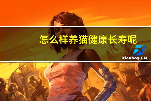 怎么样养猫健康长寿呢