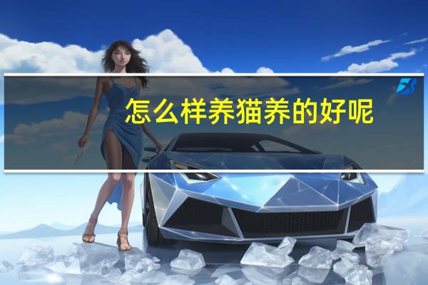 怎么样养猫养的好呢