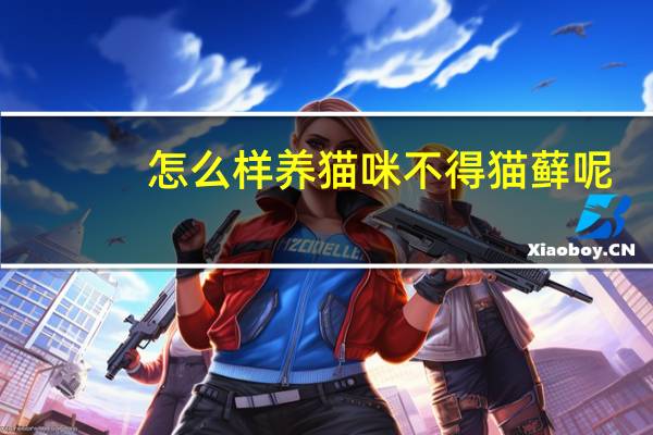 怎么样养猫咪不得猫藓呢