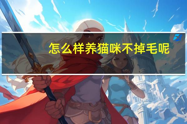 怎么样养猫咪不掉毛呢