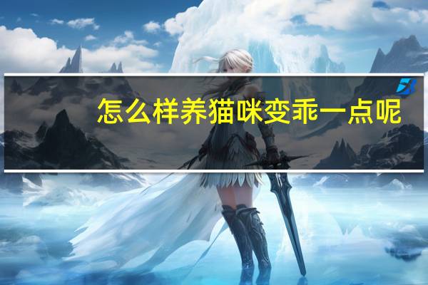 怎么样养猫咪变乖一点呢