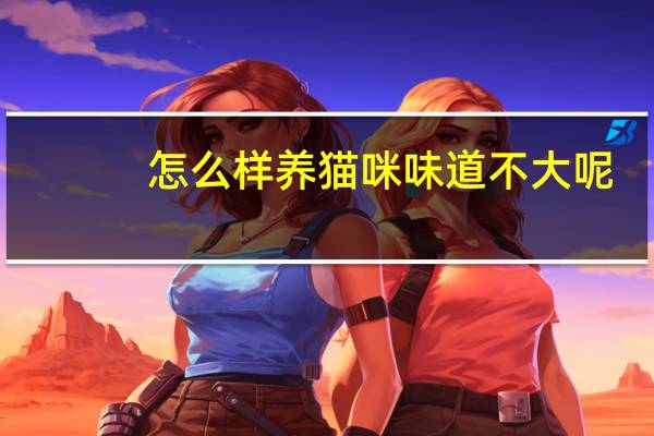 怎么样养猫咪味道不大呢