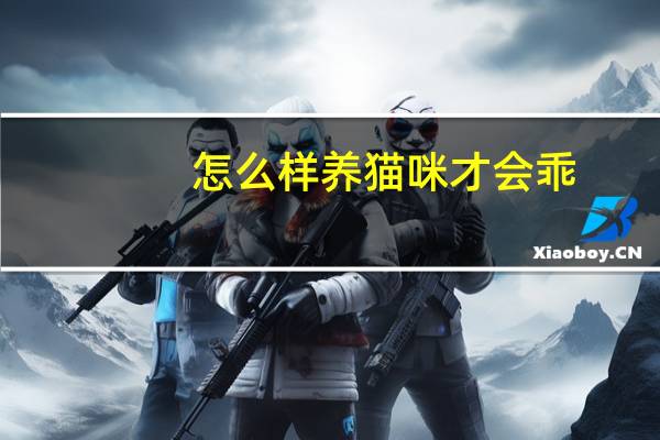 怎么样养猫咪才会乖