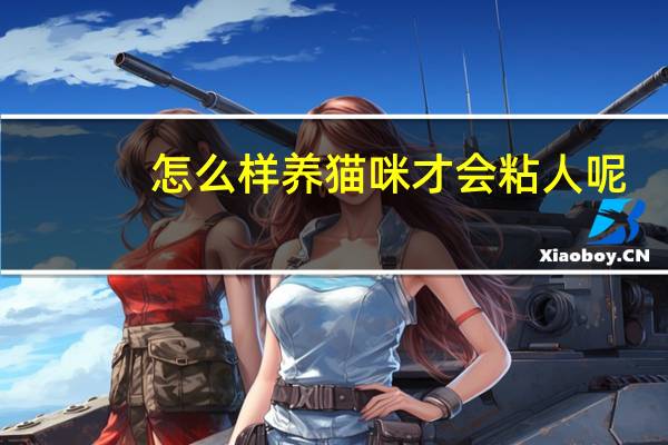 怎么样养猫咪才会粘人呢