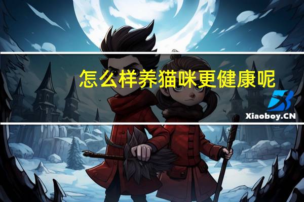 怎么样养猫咪更健康呢