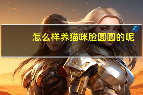怎么样养猫咪脸圆圆的呢