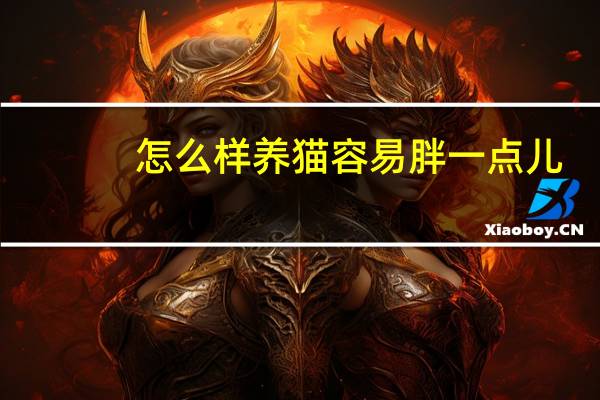 怎么样养猫容易胖一点儿