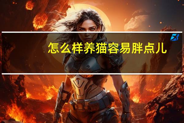 怎么样养猫容易胖点儿