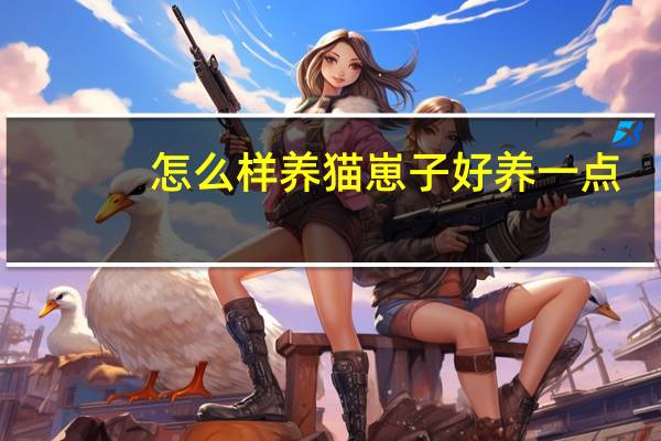 怎么样养猫崽子好养一点