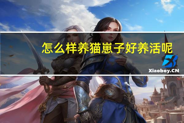 怎么样养猫崽子好养活呢