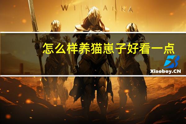 怎么样养猫崽子好看一点