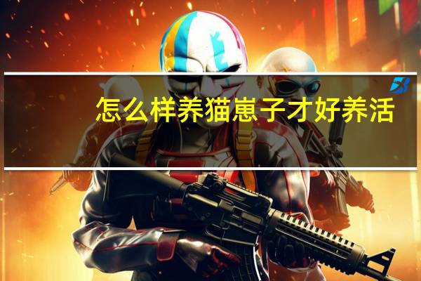 怎么样养猫崽子才好养活