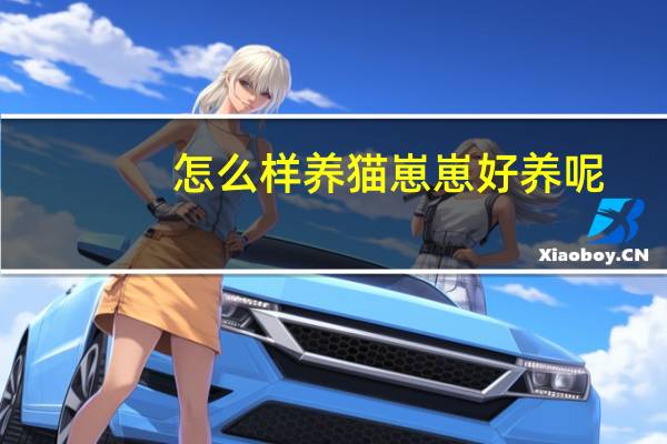怎么样养猫崽崽好养呢