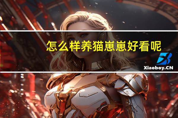 怎么样养猫崽崽好看呢