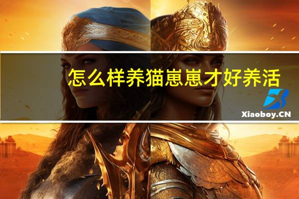 怎么样养猫崽崽才好养活