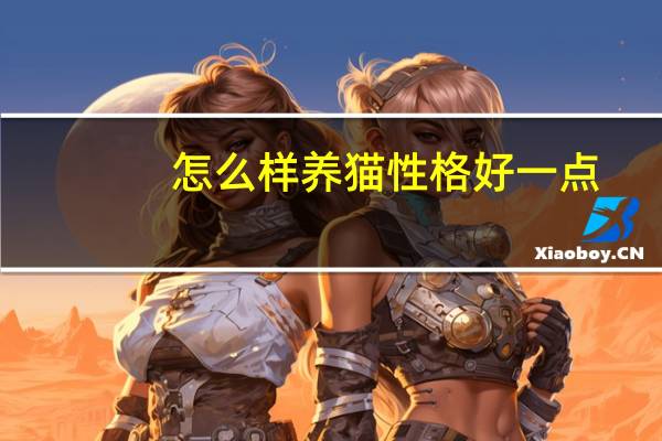 怎么样养猫性格好一点