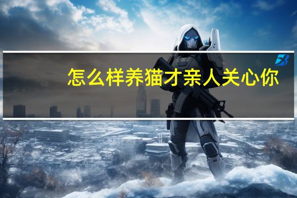 怎么样养猫才亲人关心你