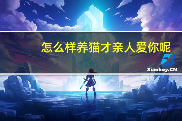 怎么样养猫才亲人爱你呢