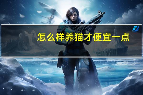 怎么样养猫才便宜一点