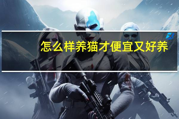 怎么样养猫才便宜又好养