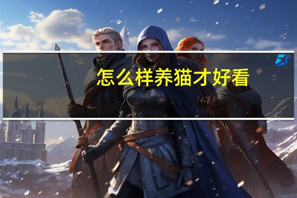 怎么样养猫才好看