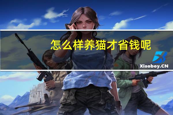 怎么样养猫才省钱呢