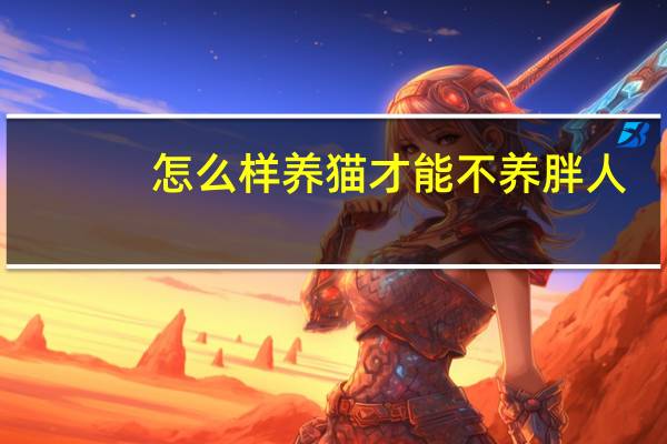 怎么样养猫才能不养胖人