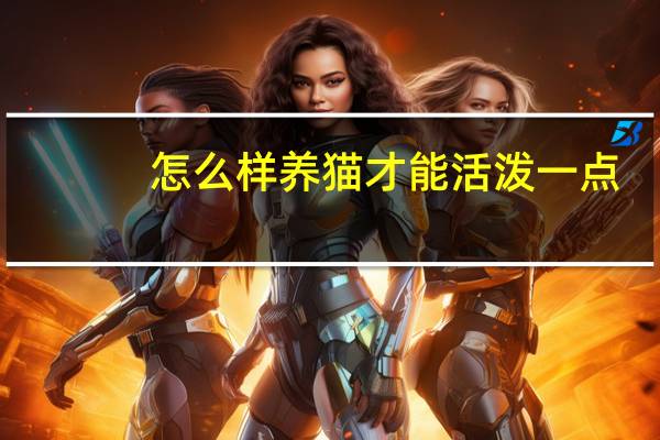 怎么样养猫才能活泼一点