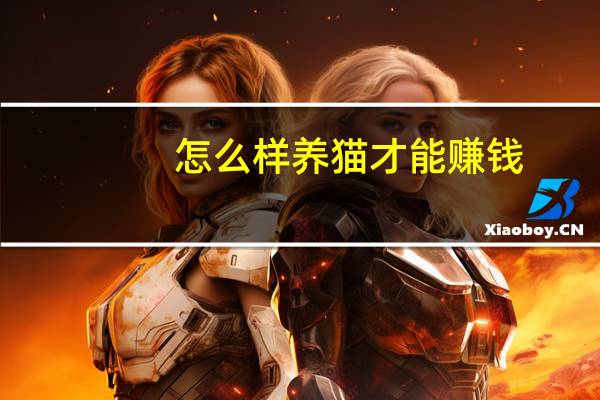 怎么样养猫才能赚钱