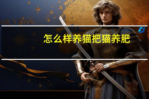 怎么样养猫把猫养肥