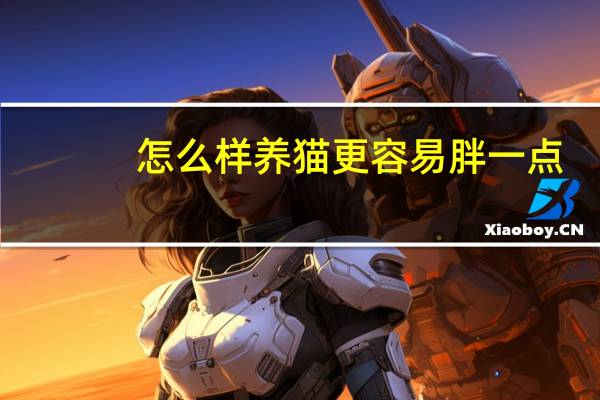 怎么样养猫更容易胖一点