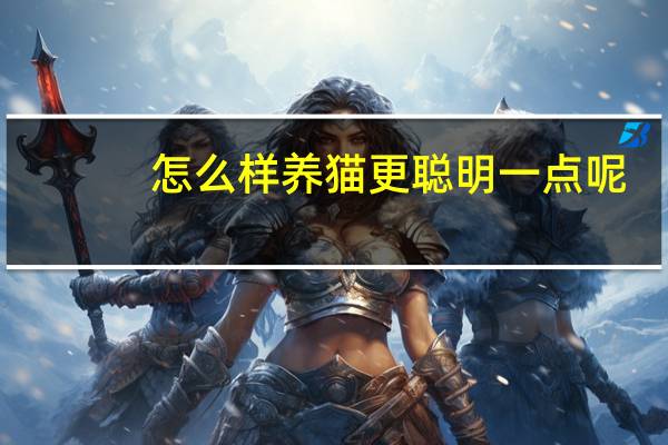 怎么样养猫更聪明一点呢