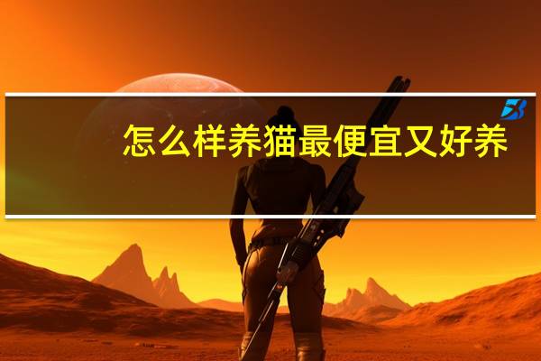 怎么样养猫最便宜又好养