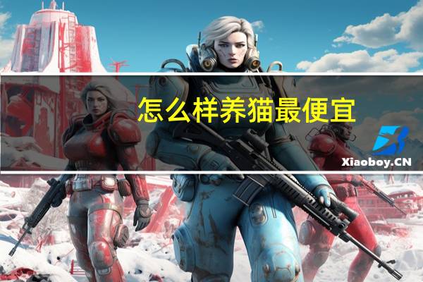 怎么样养猫最便宜