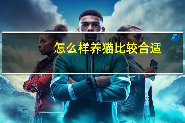 怎么样养猫比较合适