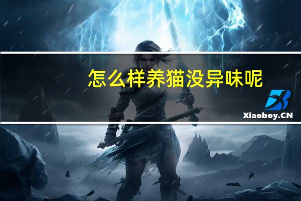 怎么样养猫没异味呢