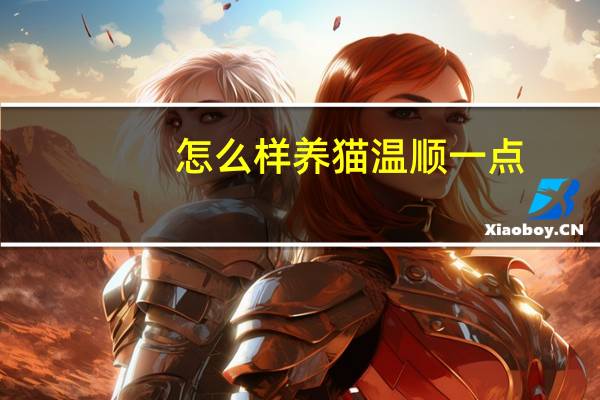 怎么样养猫温顺一点