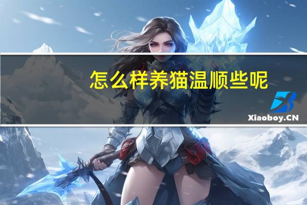 怎么样养猫温顺些呢