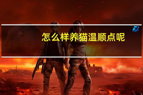 怎么样养猫温顺点呢