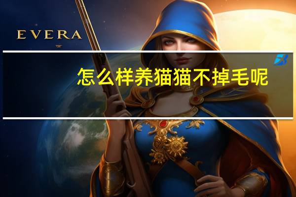 怎么样养猫猫不掉毛呢