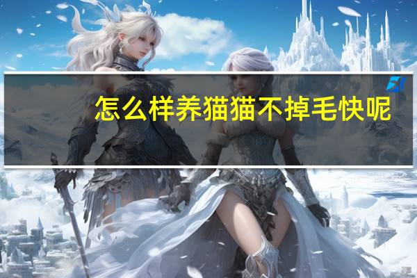 怎么样养猫猫不掉毛快呢