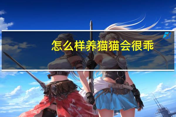 怎么样养猫猫会很乖