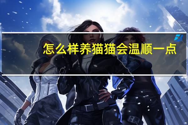 怎么样养猫猫会温顺一点