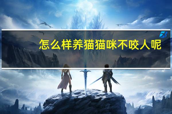 怎么样养猫猫咪不咬人呢
