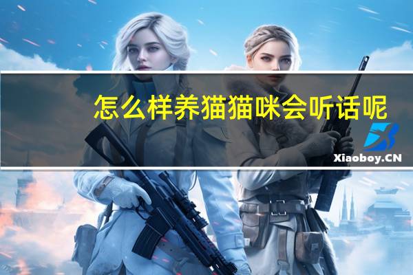 怎么样养猫猫咪会听话呢