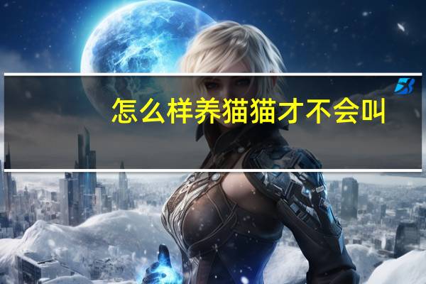 怎么样养猫猫才不会叫