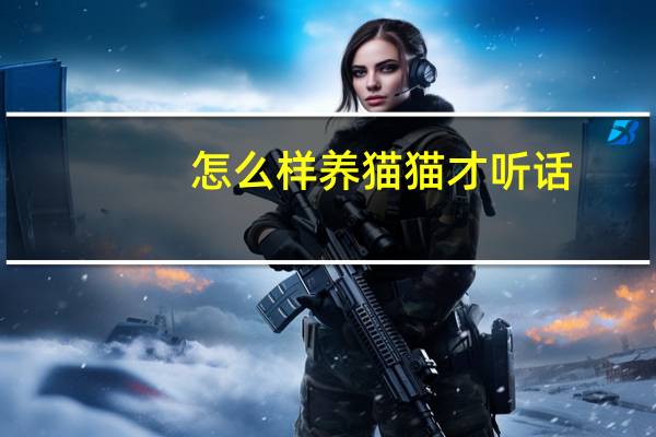 怎么样养猫猫才听话