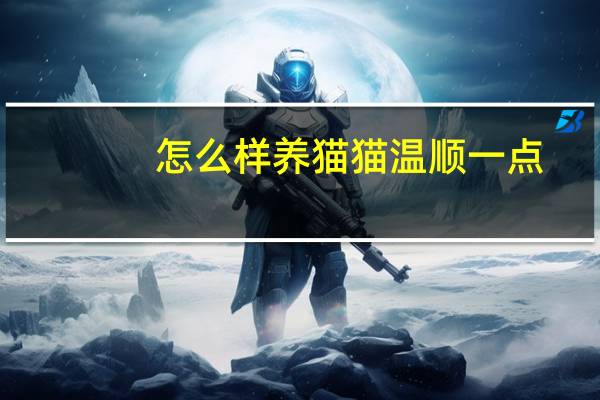 怎么样养猫猫温顺一点