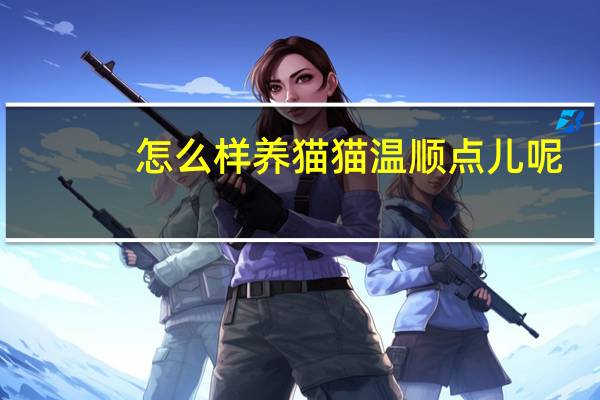 怎么样养猫猫温顺点儿呢